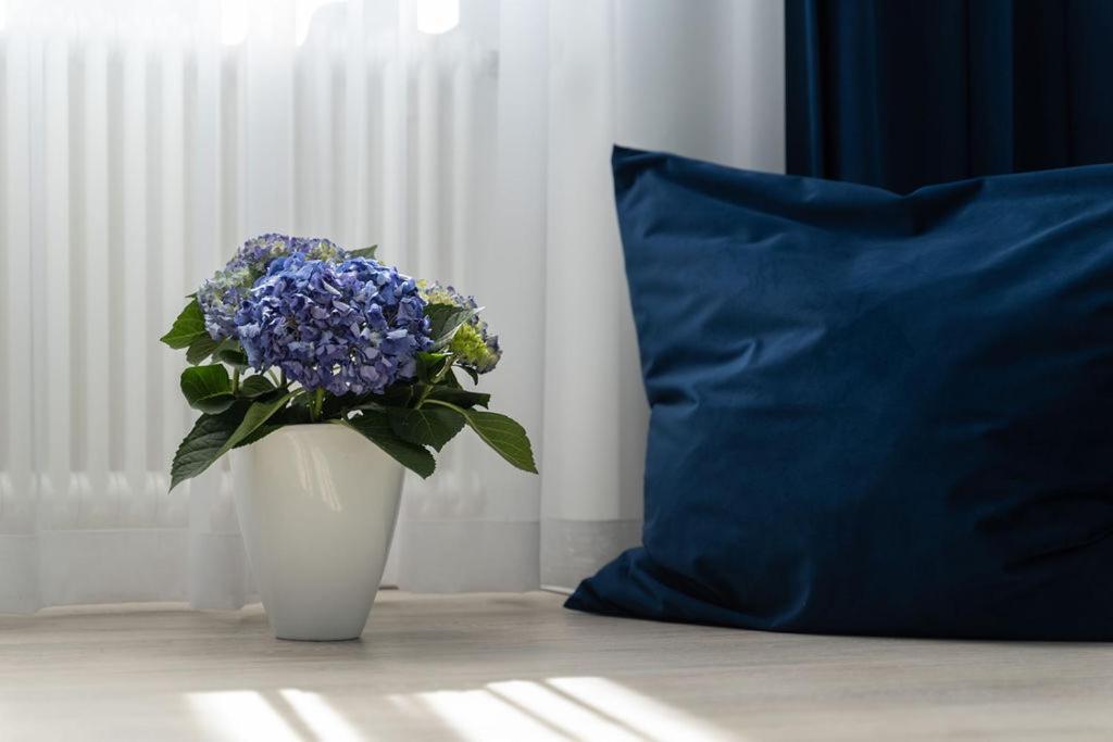 Vip Apart Center Baden-Baden Luaran gambar